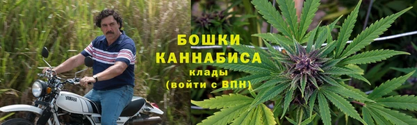 ГАЛЛЮЦИНОГЕННЫЕ ГРИБЫ Алексеевка