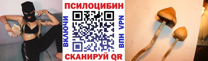 Псилоцибиновые грибы Cubensis  где можно купить   Петушки 